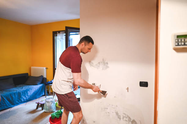 Best Home Mold Removal  in Park Ridge, NJ